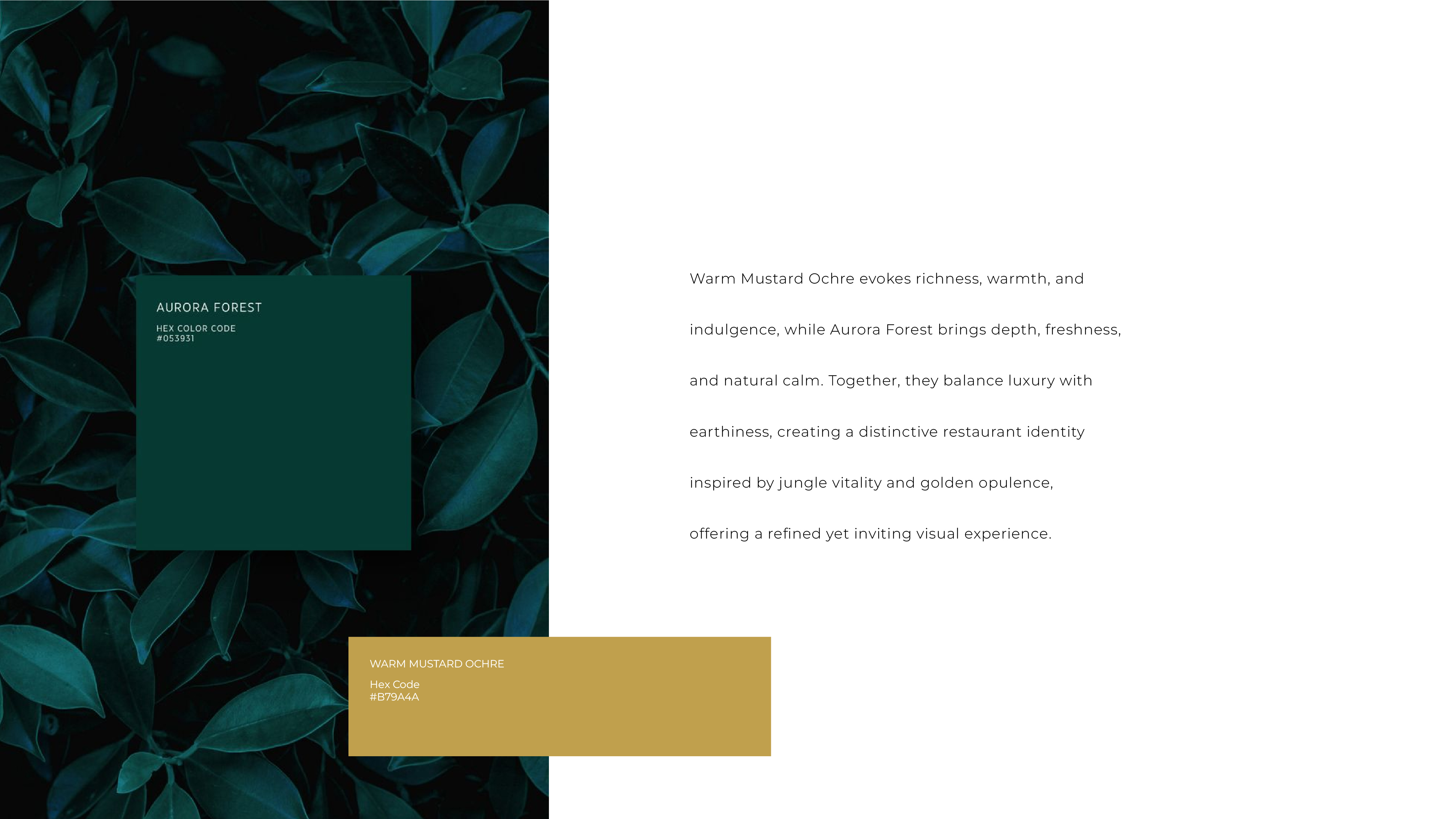 Brand colour system pages — Aurora Forest paired with Mustard Ochre